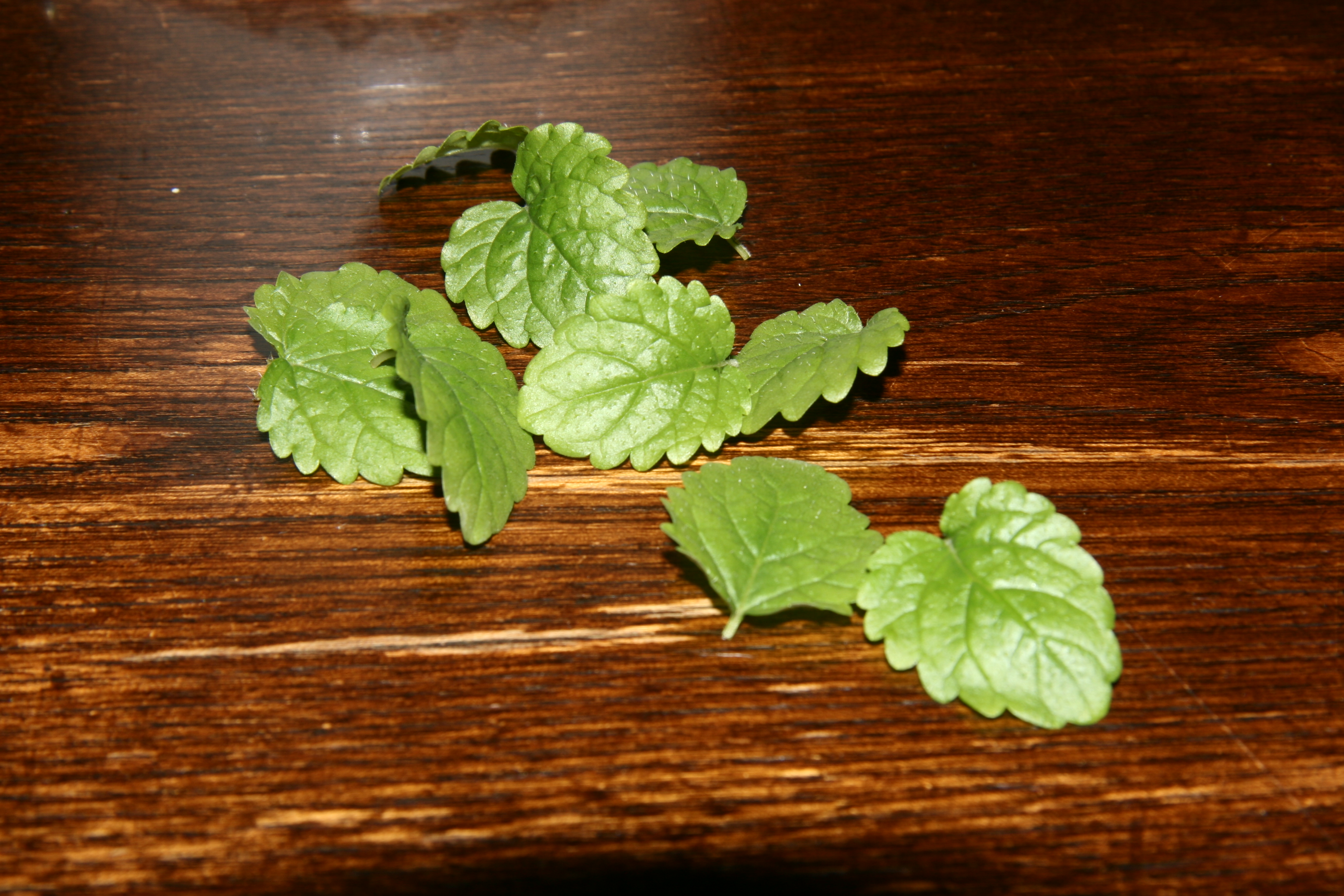 ウェブページの作成